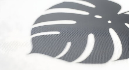 Monstera Leaf Shadow on Textured White Surface