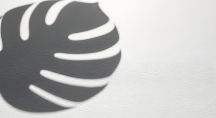 Monstera Leaf Shadow on Textured White Surface