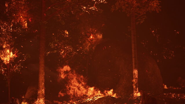 Flames rage through dense trees, consuming the forest as smoke fills the air. The scene captures the fury of nature, showcasing the intense destruction caused by a wildfire at dusk.