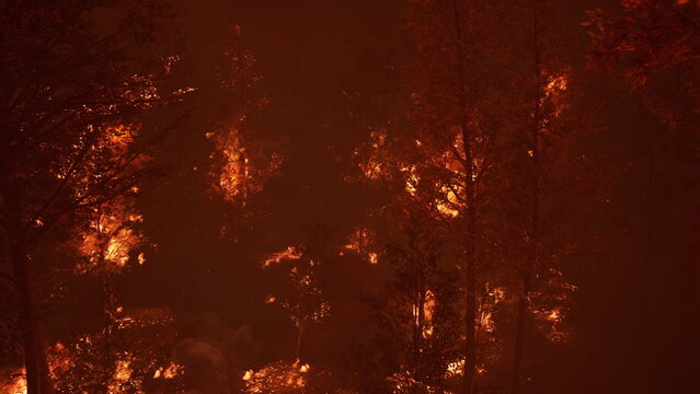 Bright flames consume a dense forest, filling the air with smoke and heat. The once green trees now glow orange as the fire spreads rapidly, creating a scene of destruction and chaos.
