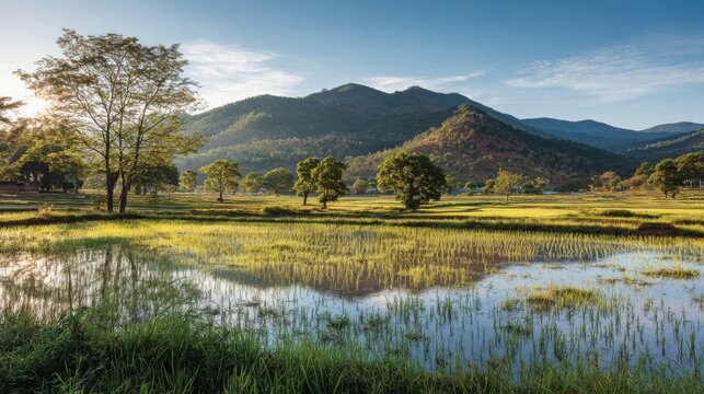 Golden morning light illuminates vibrant green paddy fields with lush trees and serene mountain backdrop, capturing tranquil agricultural beauty.