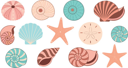 Decorative seashells and starfish illustration set with spiral scallop and sand dollar shells pastel flat vector design for beach decor and summer backgrounds © Yevhenii creative