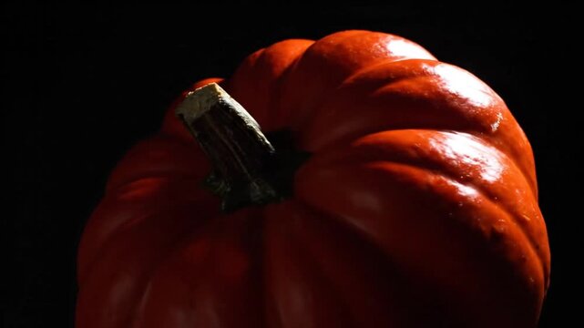 Close-up of a vibrant orange pumpkin with a textured surface and stem against a black background