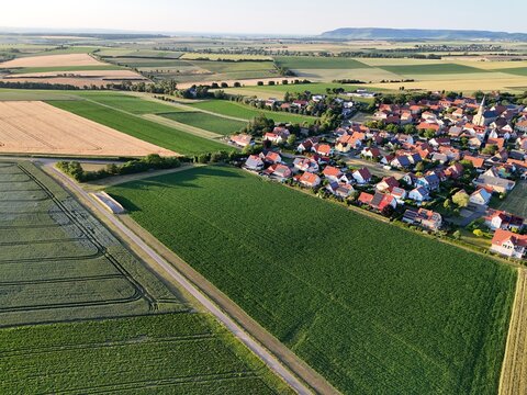 Seinsheim