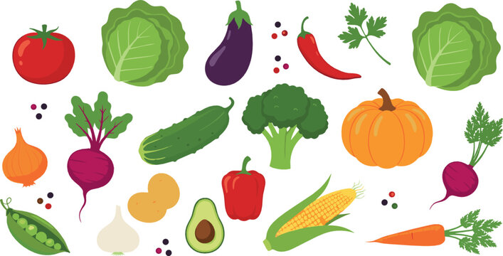 Fresh vegetables collection illustration with tomato cabbage eggplant pumpkin broccoli carrot and herbs colorful flat vector design for healthy nutrition cooking and food projects