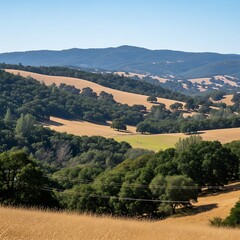 Rolling golden hills meet green forests under a clear blue sky.