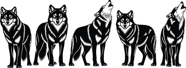 Set of black and white wolf silhouettes featuring majestic howling and standing poses for wilderness nature and wildlife vector design. © MDNASIR