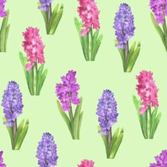 Obraz premium Seamless pattern hyacinths green