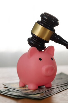Gavel and pink piggy bank with dollars close-up