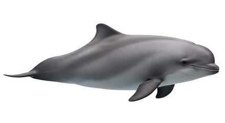 Obraz premium Dolphin Jumping PNG Transparent Background, Gray Dolphin Leaping Out Water Side View Ocean Wildlife Isolated