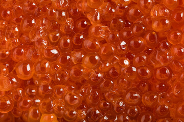 Fresh salmon roe (ikura or salmon caviar) close-up with vibrant orange pearls and glossy texture, ideal for sushi, Japanese cuisine, and premium seafood concepts.
