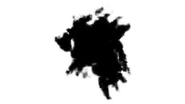 Black Organic Ink Blot Splatter on White Background, Textured Hand-Drawn Paint Splash Element for Artistic Graphic Design