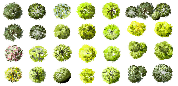 Vertor set of green tree,plants top view for landscape plan,schematic layout,eco environment concept design,watercolor greenery illustration