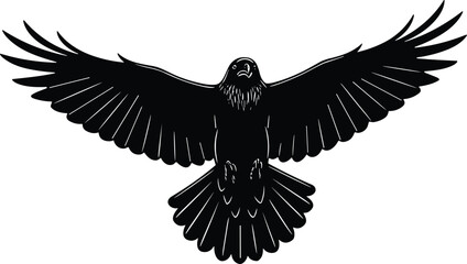 Obraz premium Eagle hawk silhouette vector illustration with spread wings, detailed feather artwork, wildlife bird nature decorative black drawing