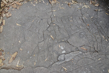 engraved feline (tiger ?) in a buddhist complex (phnom chisor) in the takeo province in cambodia  © frdric