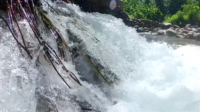 A close-up shot of crystal clear mountain river water flowing steadily over smooth natural stones in a tropical forest.