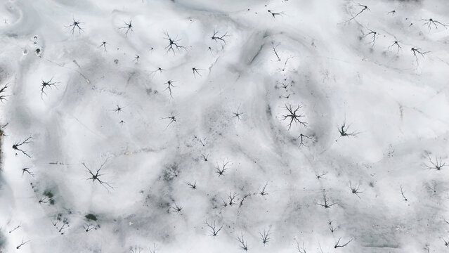 aerial view of a frozen pond background nobody ice