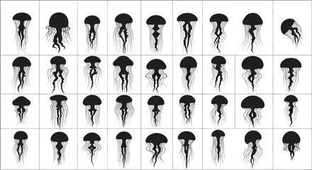 Collection of black jellyfish illustrations in various poses on white background © PABITRA