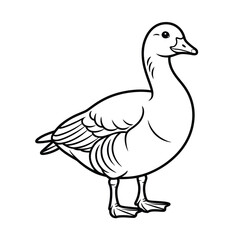 Obraz premium A detailed line drawing of a goose standing on one leg with its wings neatly folded. isolated on white background, Vector, illustration