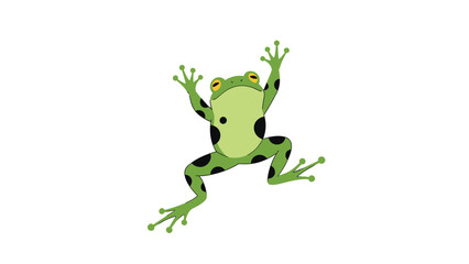 Bright green tree frog with large black spots climbing upwards with its limbs spread out on a plain white background.