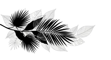 Obraz premium Black and white tropical leaves composition. Exotic jungle foliage illustration in silhouette and detailed line art styles, arranged on a clean white background.