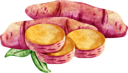 watercolor sweet potato