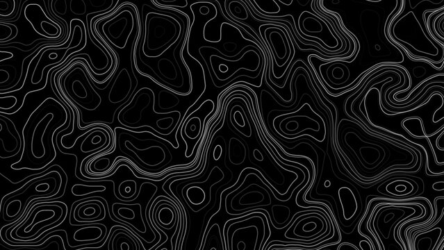 Abstract digital topographic contour map concept. futuristic topo wavy black and white mountain surface, line art technology background