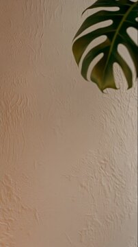 Light And Shadow Turtle Backed Bamboo Shadow Beige Wall Plant Afternoon Nature Minimalist Home Ins Wind Background Warm Quiet Space 001 4K Abstract Tech Background Phase One Style
