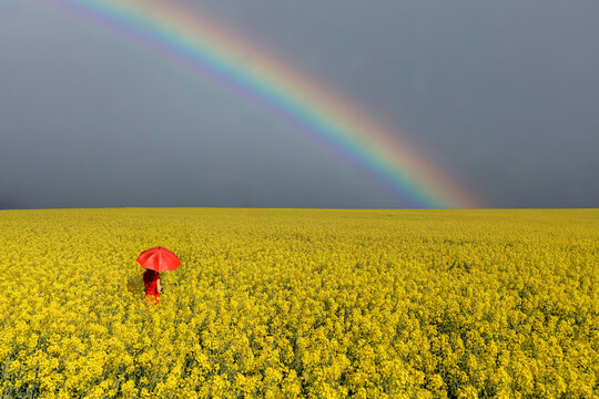  Frau mit rotem Schirm im Rapsfeld Regenbogen