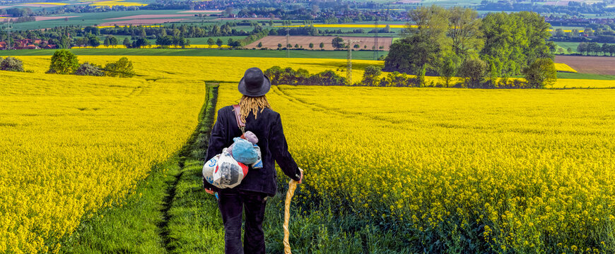  Rapsfeld Panorama mit Frau auf der Walz
