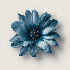 A single teal daisy-like flower with a dark center against a light background
