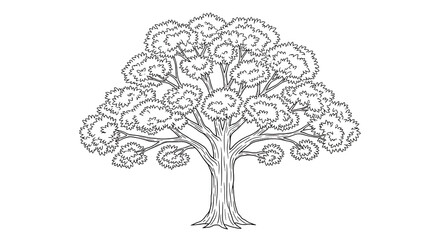 A tree with a large canopy and a thick trunk