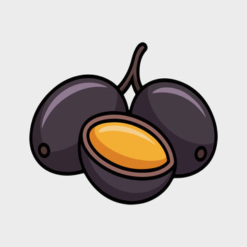 Pili Fruit Vector Illustration of Tropical Canarium Ovatum with Whole and Sliced Section