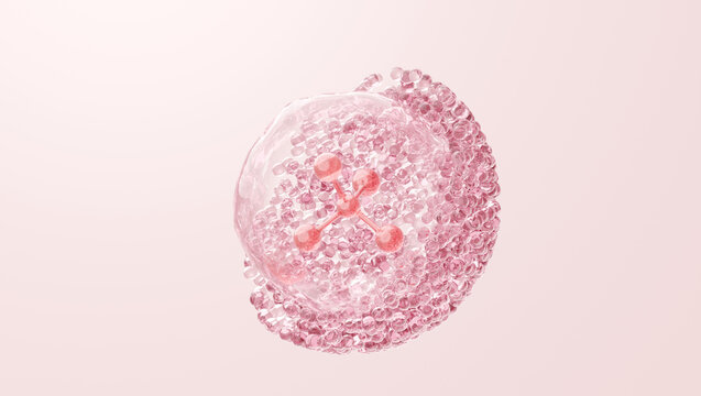 Double encapsulation exosome vesicles for PDRN peptide collagen delivery, skincare, 3D rendering
