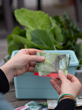Hands holding seed packet for urban gardening startup