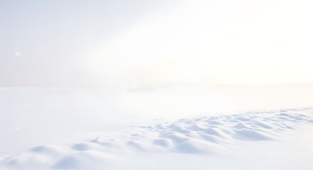 Obraz premium A pristine, bright white snowfield stretches endlessly under a clear, luminous sky, with gentle drifts forming subtle textures in the foreground.