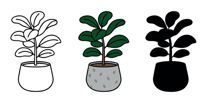 Dark green rubber plant in a speckled stone pot. Minimalist vector design in outline, color, and silhouette versions for branding and icons.