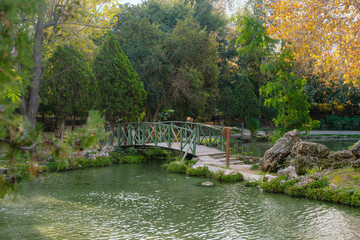 Fototapeta premium Scenic Garden Bridge Over Calm Park Water