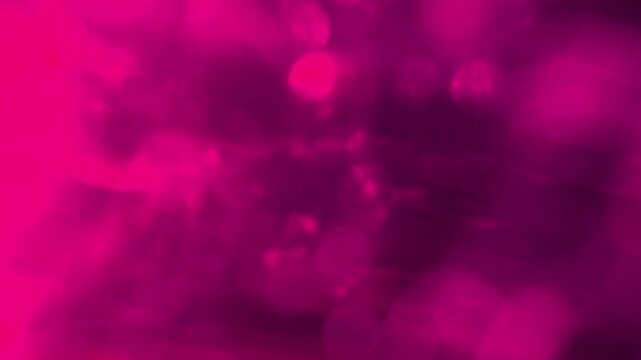 Stunning Bokeh Transition with vibrant pink and purple hues, creating a magical and dreamy atmosphere. Perfect for creative projects.