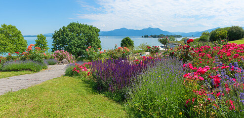 beautiful park landscape Gstadt with blooming roses, lavender and salvia. lake Chiemsee shore