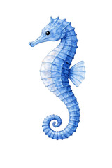 Fototapeta premium Watercolor Blue Seahorse Isolated on Transparent Background