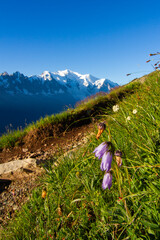 Spectacular view of Mont Blanc massif from lac Blanc, Chamonix