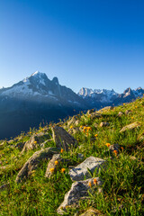 Spectacular view of Mont Blanc massif from lac Blanc, Chamonix