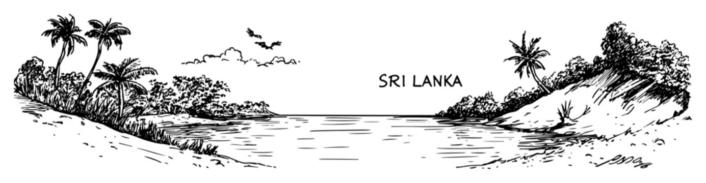 Sri lanka tropical coast with palms and birds hand-drawn vector