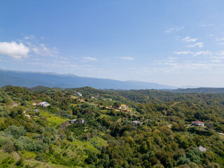 Obraz premium High-angle view of trees and plants against the sky from a height
