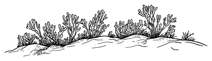 Coral reef underwater scene sketch © Kaz