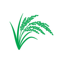 Fototapeta premium Green Rice Plant Illustration.