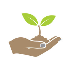 Hand Holding Small Green Plant Soil.