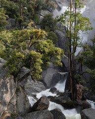 Cascade Creek, Yosemite NP © Scott