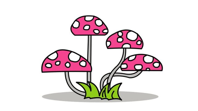 pink mushroom plant isolated on white background